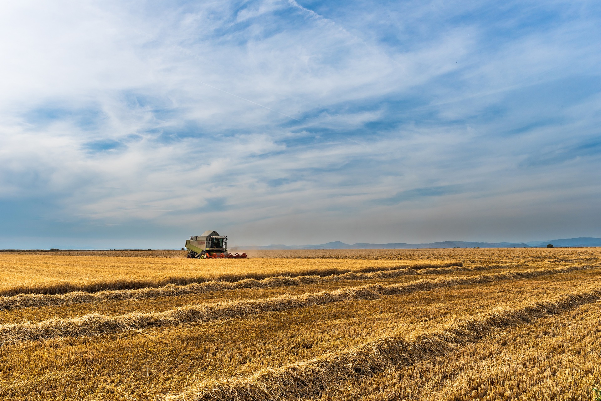 Agricultural services from Megaplast